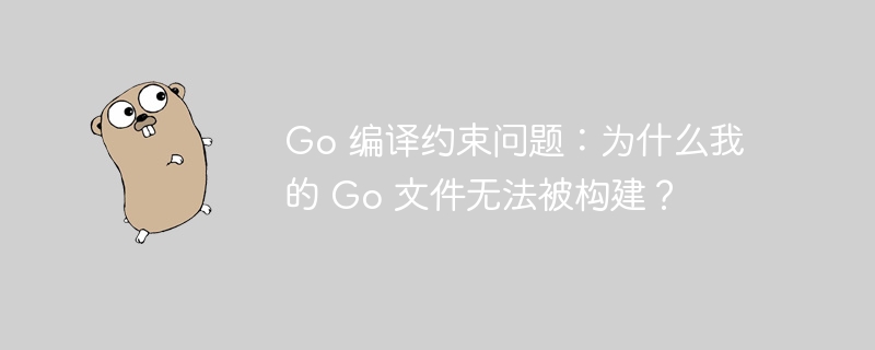 Go 编译约束问题：为什么我的 Go 文件无法被构建？插图