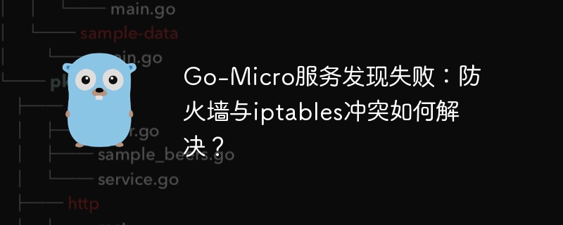 Go-Micro服务发现失败：防火墙与iptables冲突如何解决？插图