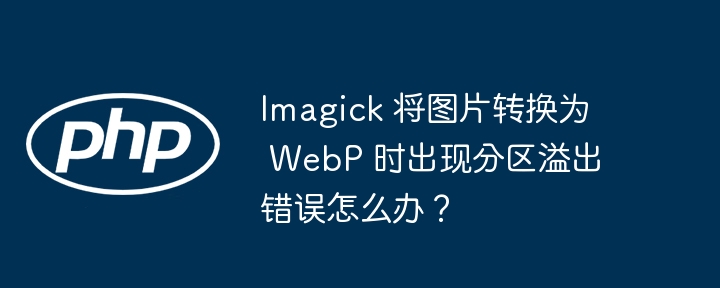 Imagick 将图片转换为 WebP 时出现分区溢出错误怎么办？插图