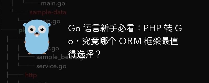 Go 语言新手必看：PHP 转 Go，究竟哪个 ORM 框架最值得选择？插图