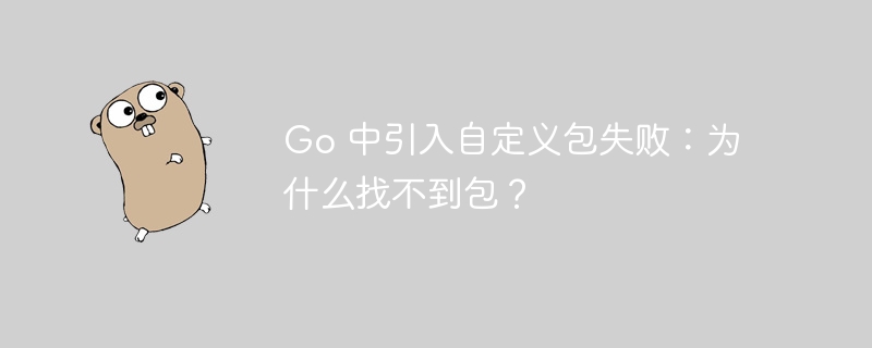 Go 中引入自定义包失败：为什么找不到包？插图