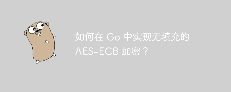 如何在 Go 中实现无填充的 AES-ECB 加密？插图