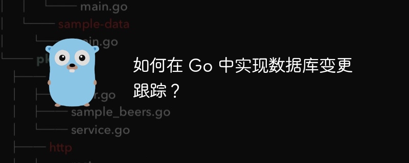 如何在 Go 中实现数据库变更跟踪？插图