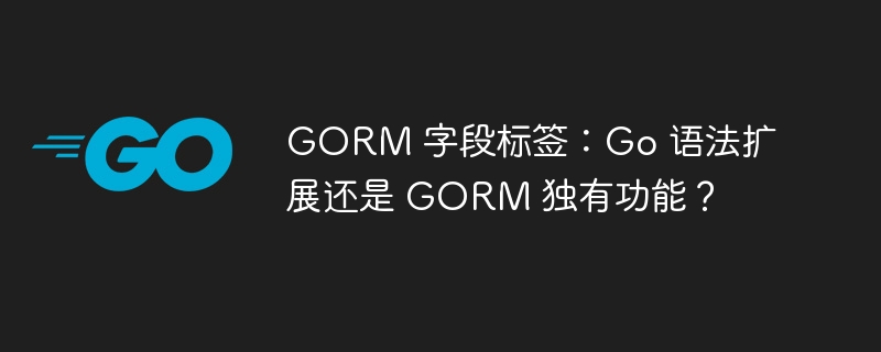 GORM 字段标签：Go 语法扩展还是 GORM 独有功能？插图