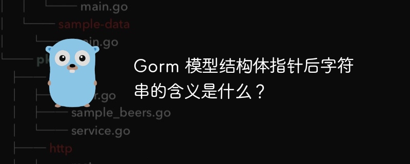 Gorm 模型结构体指针后字符串的含义是什么？插图