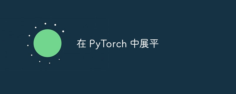 在 PyTorch 中展平插图