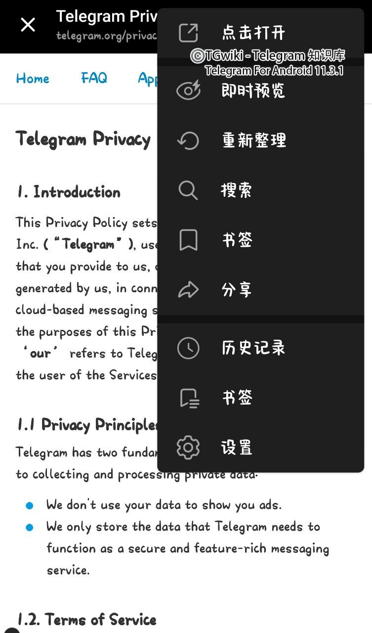 Telegram内置浏览器插图