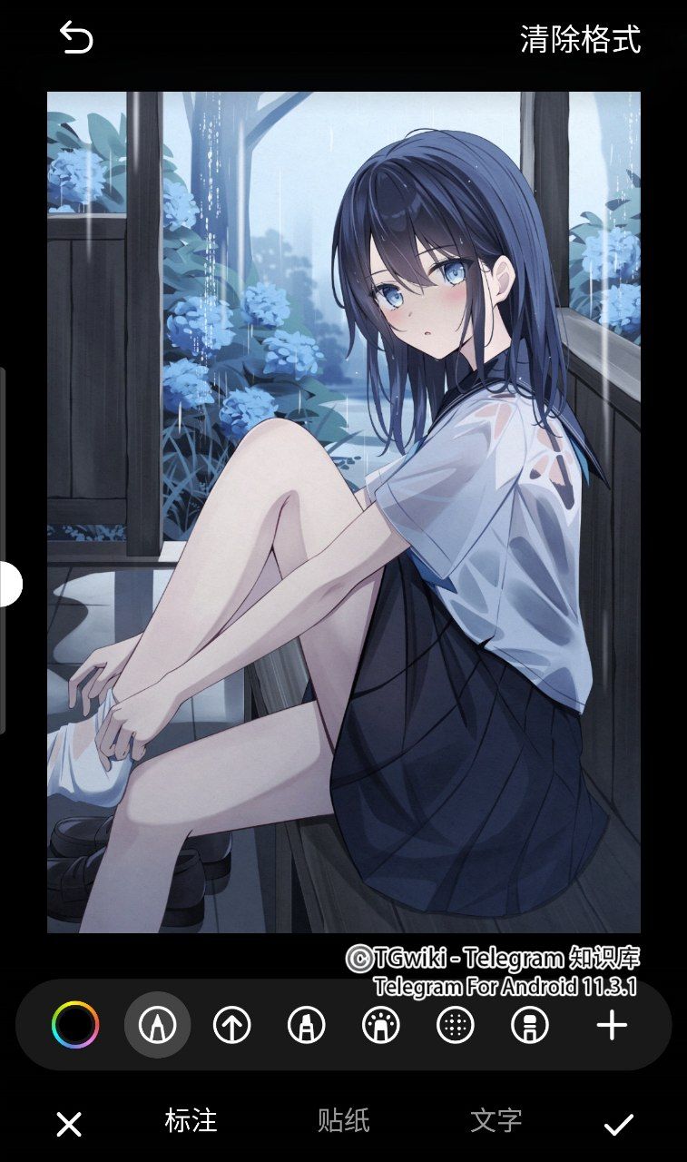 图片排版Telegram插图2